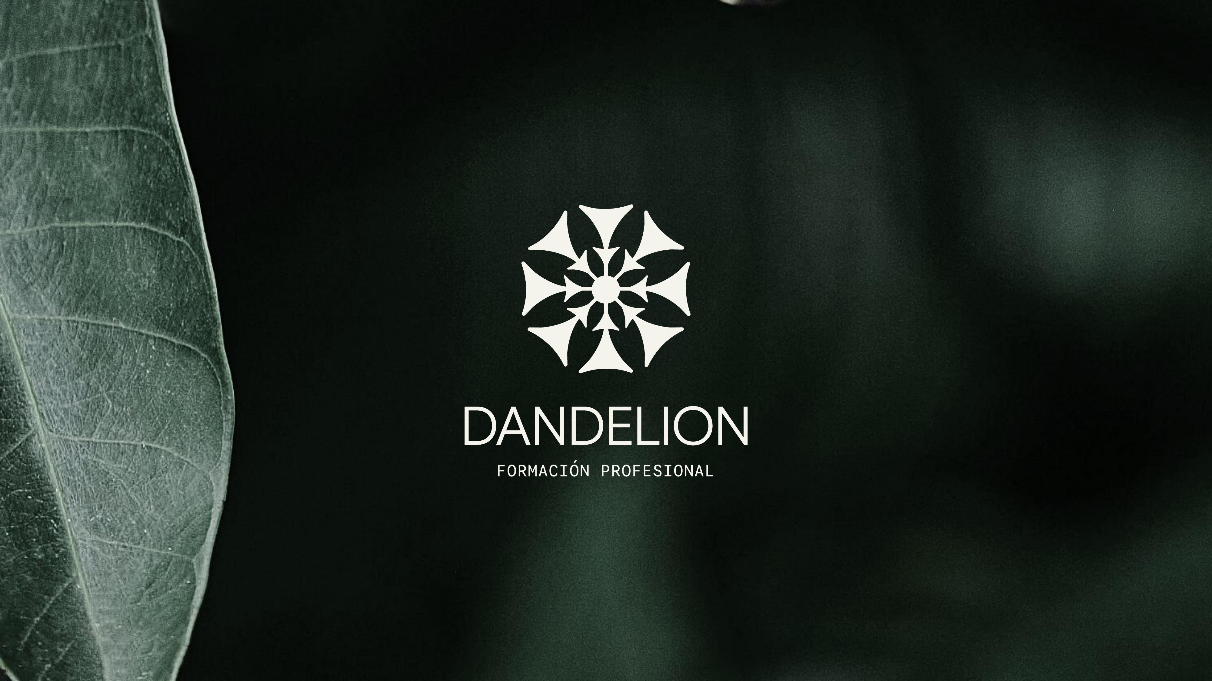 Textura visual Dandelion